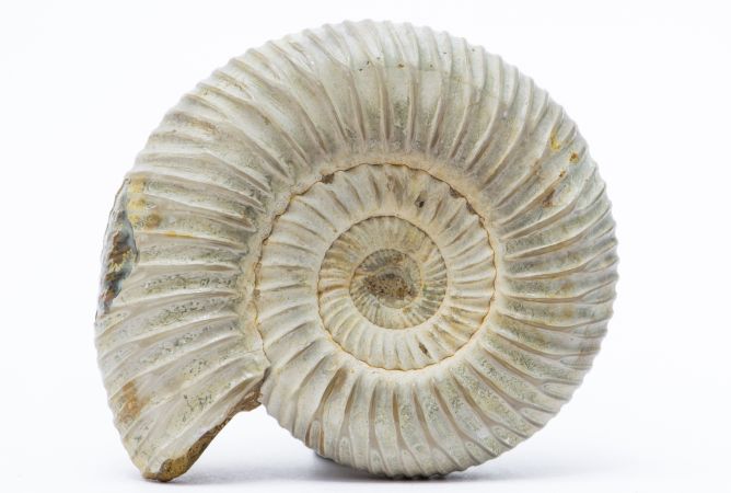 Calciumcarbonaat